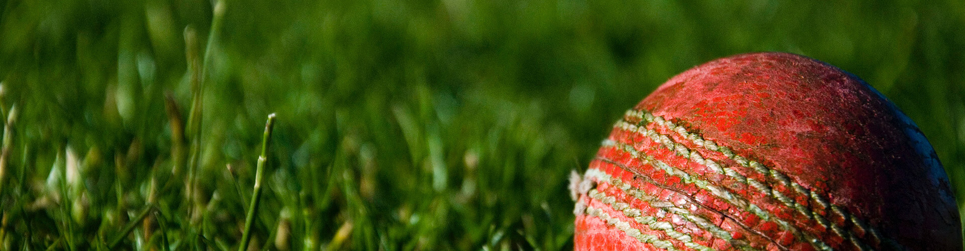 ball in grass