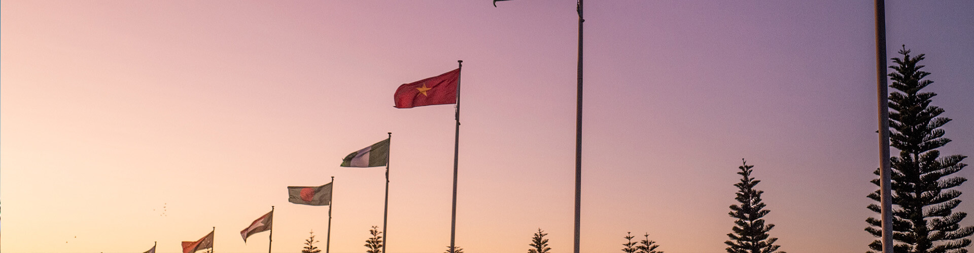 flags in the sky 