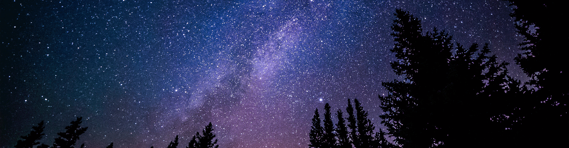 Stars.