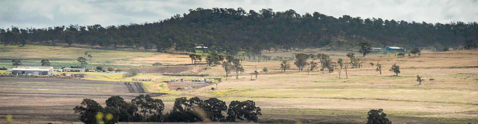rolling hills in the country 