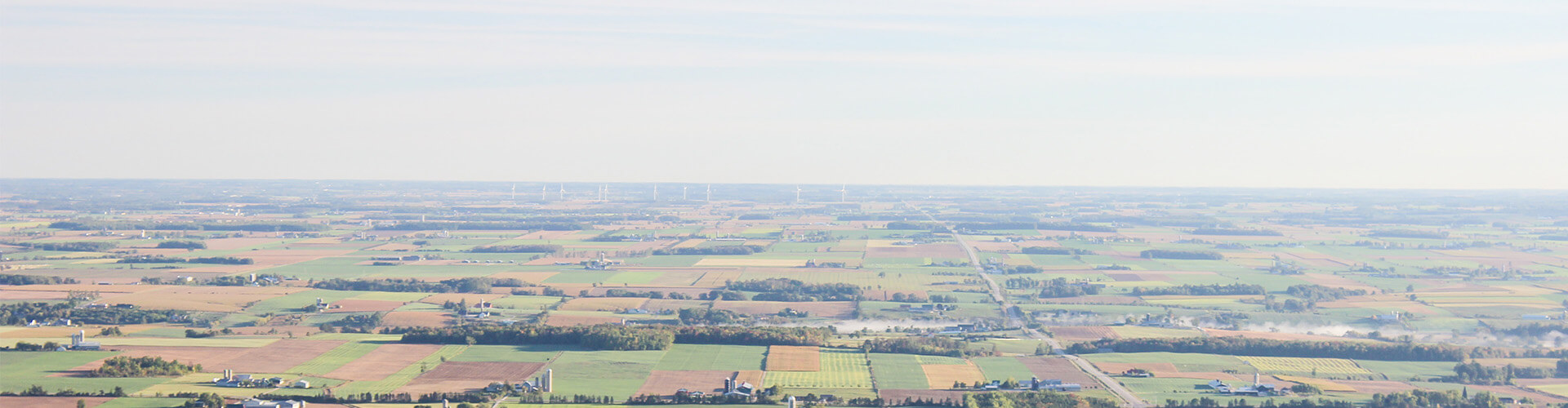 rural fields 