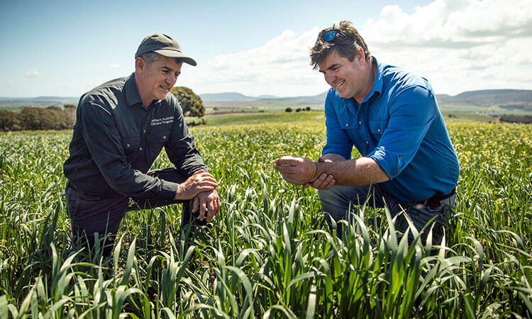 men in the field 