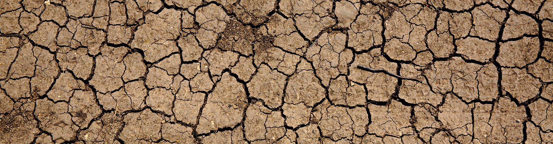dry land