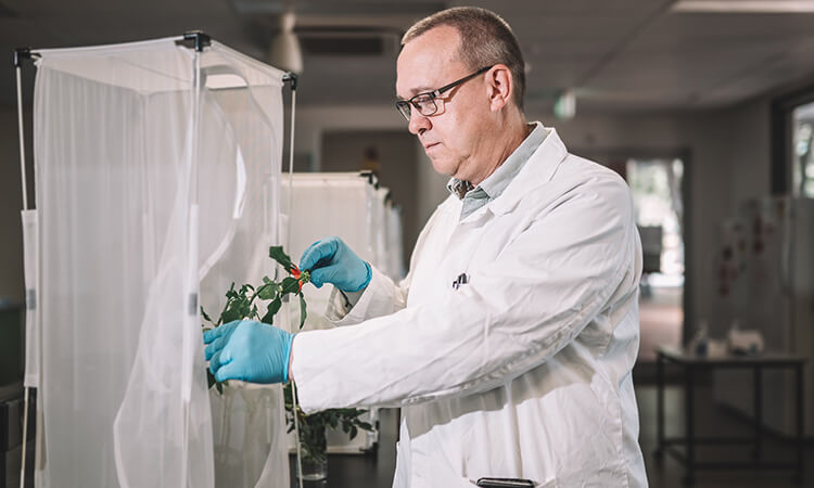 man in lab coat looking at plant