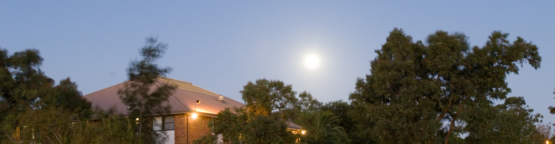 concannon at night 