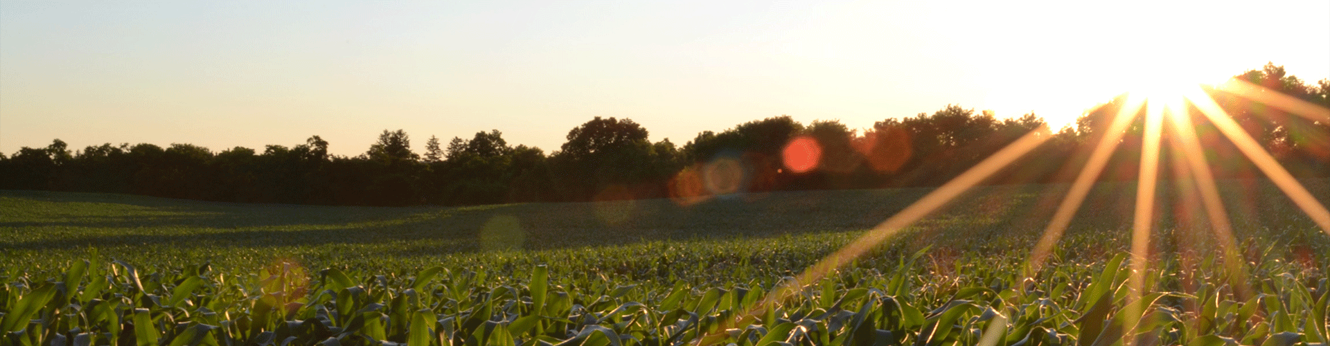 Ag crop.