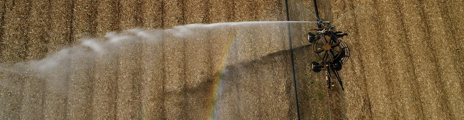 irrigation over crops 