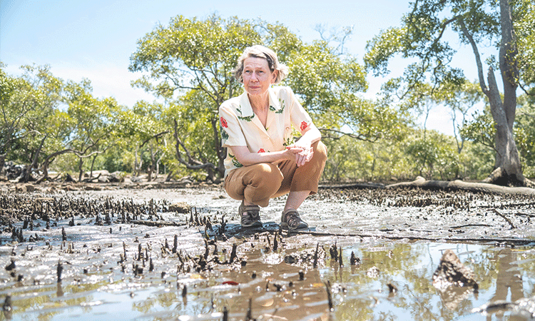 Person in mangroves.