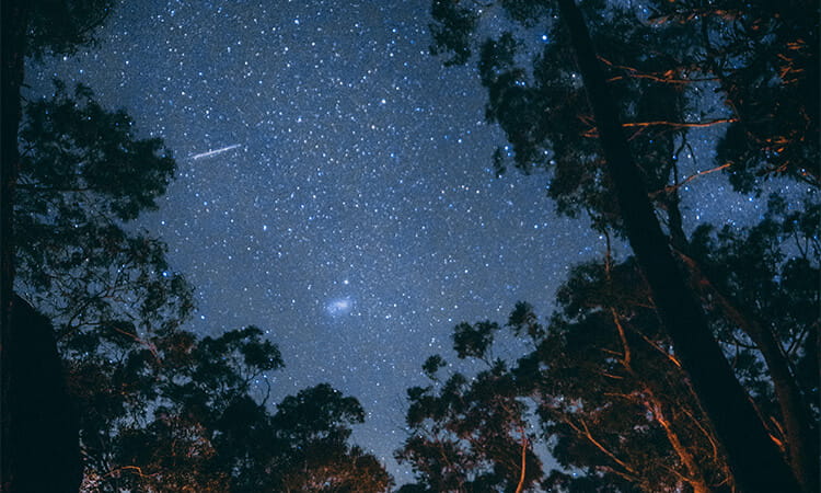 australian night sky 