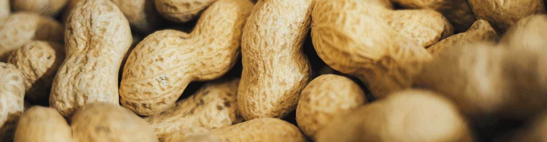 Peanuts.