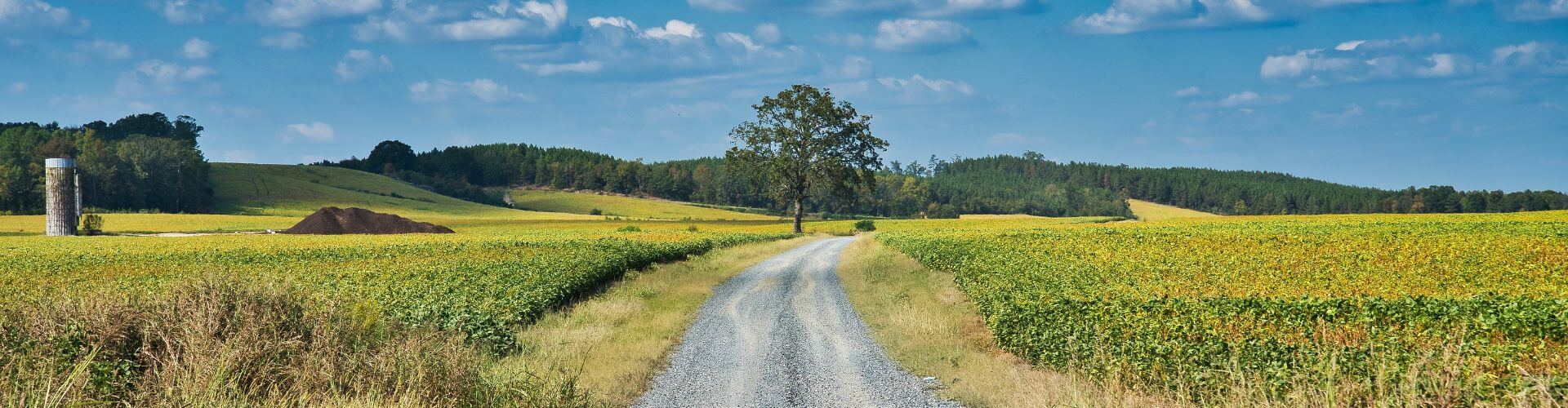 country road 