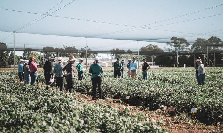 agricultural researchers in the field 