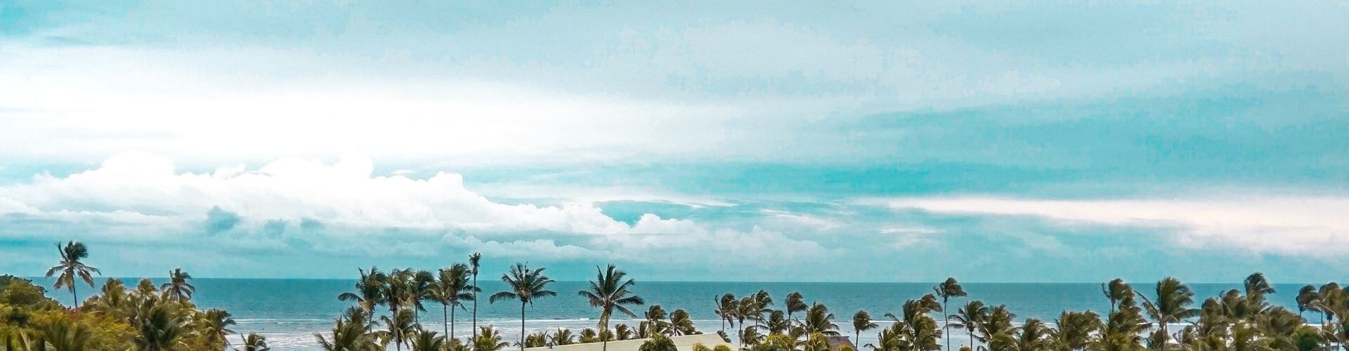 sandy beach with palms