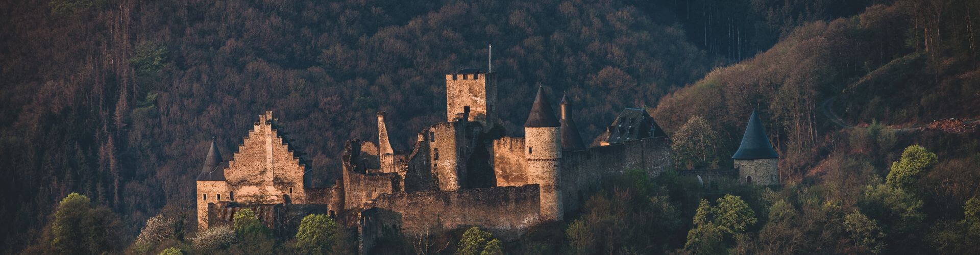 castle in the forest