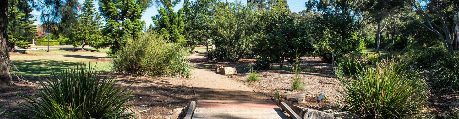 Garden.