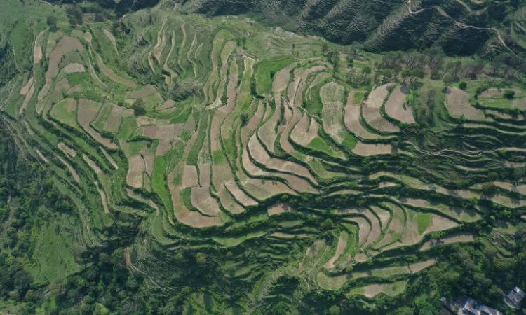 indian farm from a birds-eye view 