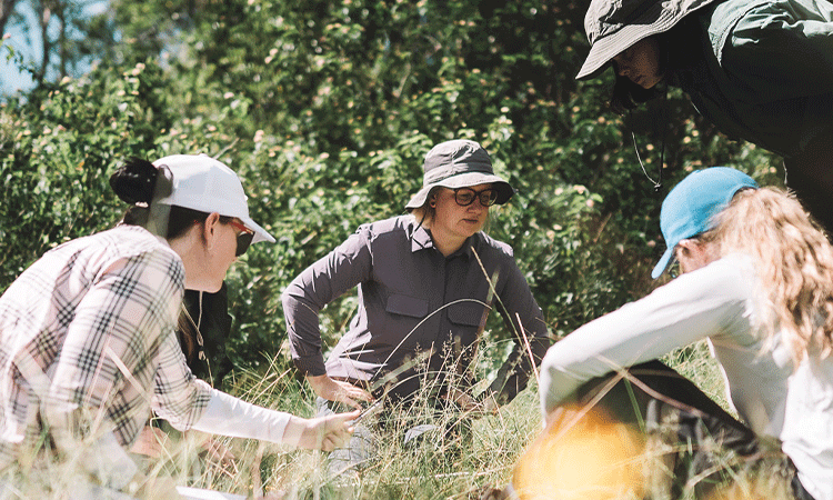 Students in the field.