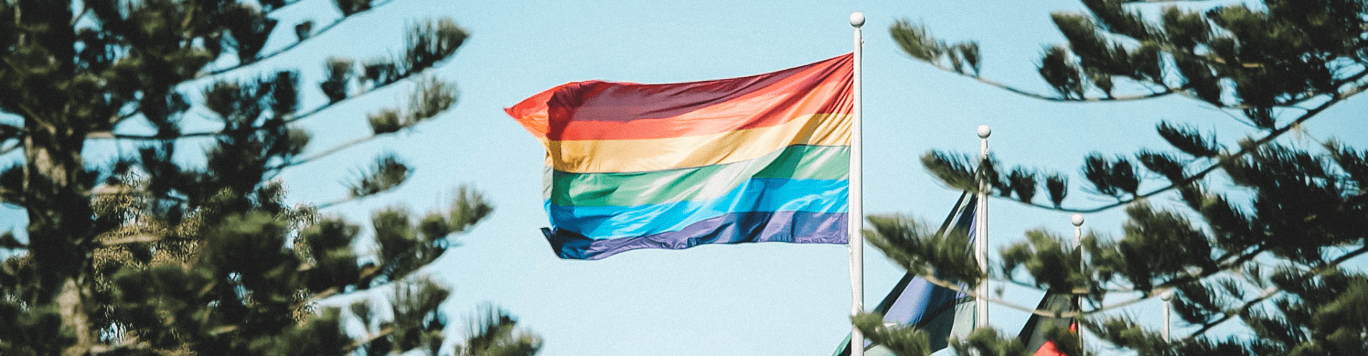 IDAHOBIT Flag.