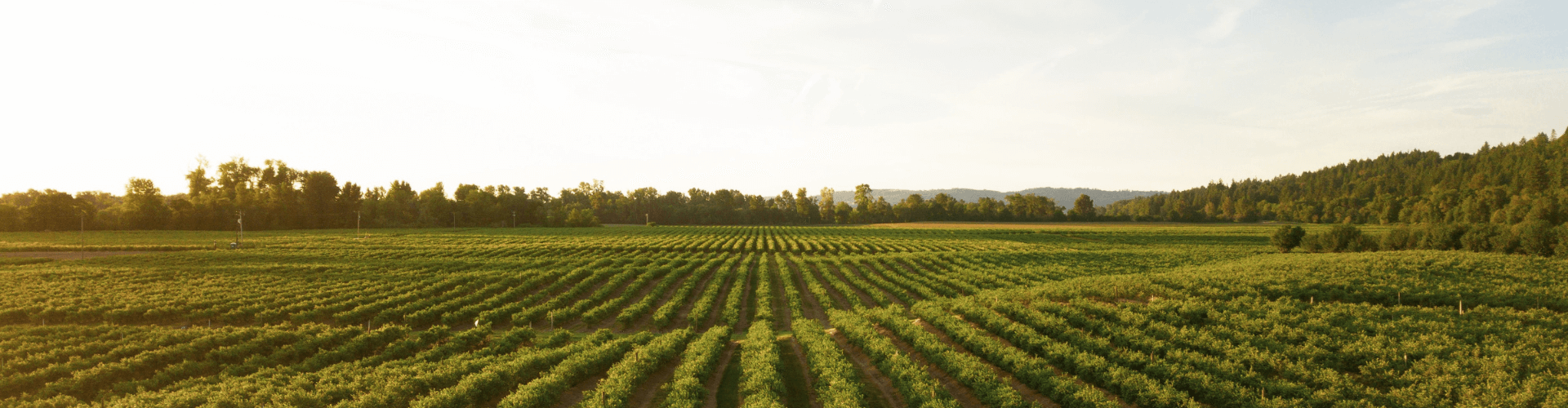 Agriculture.