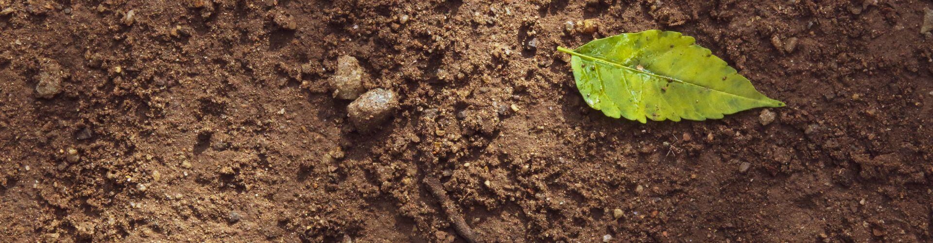 soil