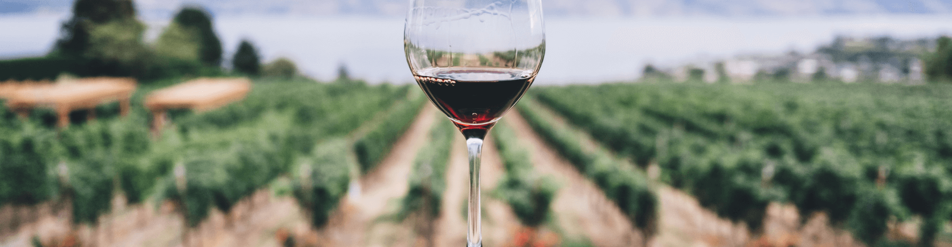 Wine.
