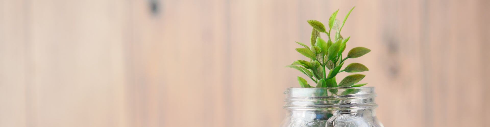 plants sprouting out of a jar of money