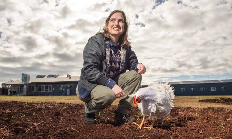 lady in crop with fake chicken 