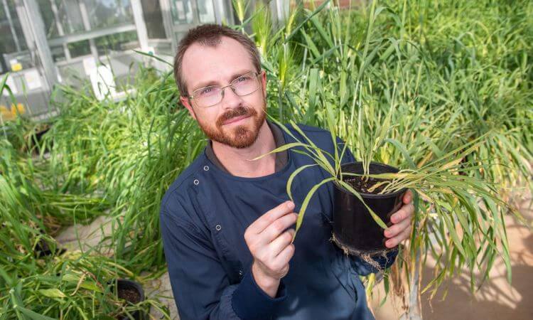 man in glasshouse holding plant