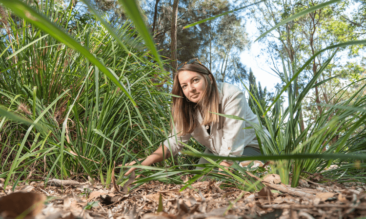 Researcher in the field.
