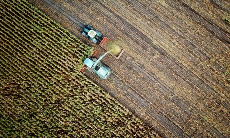 truck in a field