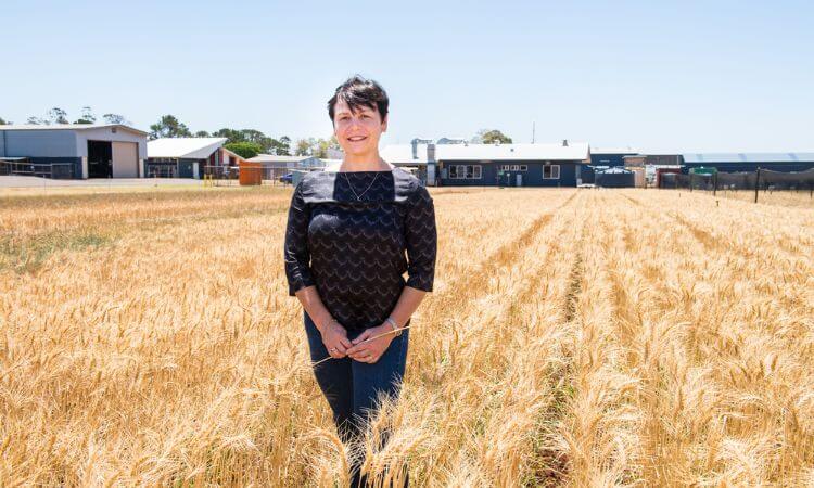 woman in the grain field 