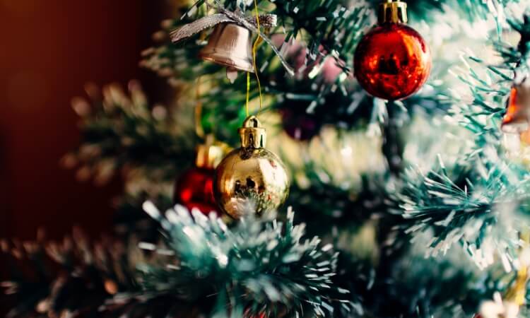 Christmas tree.