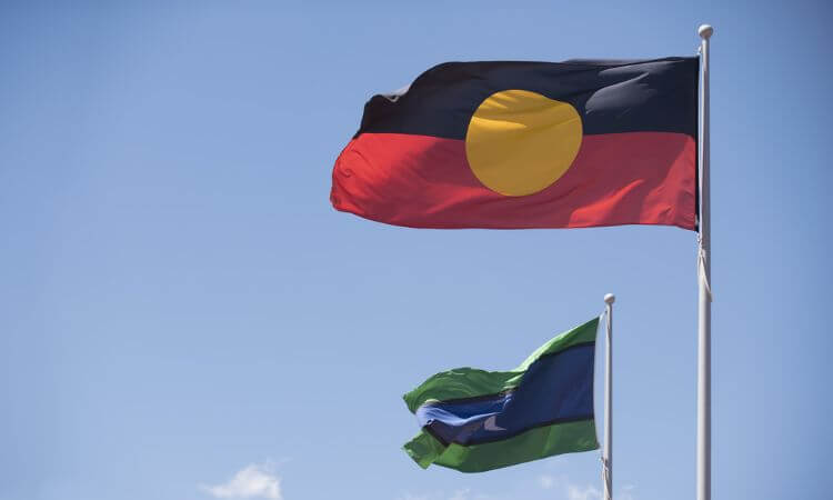 indigenous flag flying 