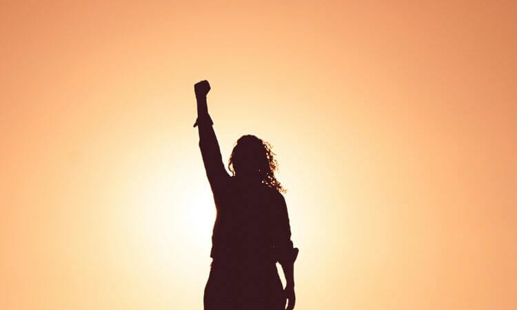 Silhouette of a person raising a fist in the air against an orange sunset sky.