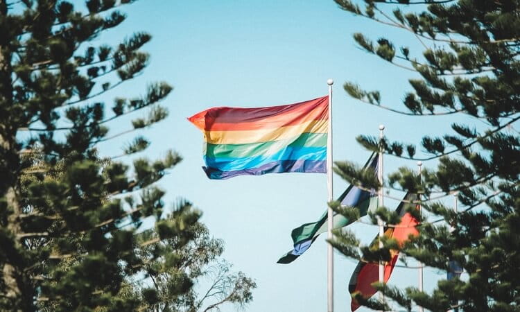 A rainbow flag and other flags wave on flagpoles framed by trees against a clear sky.