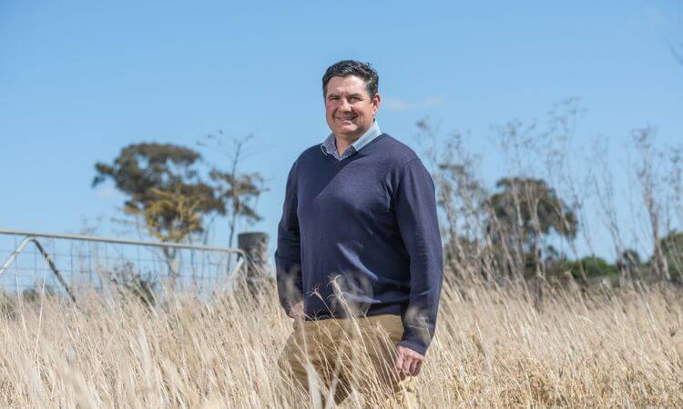A person stands in a field of tall dry grass with a metal gate and trees in the background under a clear blue sky.