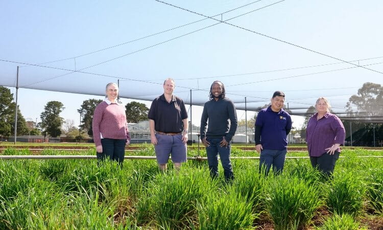 Five people stand in a row outdoors in a green agricultural field with netting and trees in the background under a clear sky.