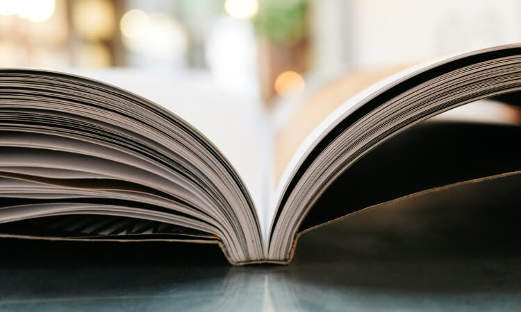 A close-up view of an open book lying flat on a surface, with pages fanned out and blurred background.