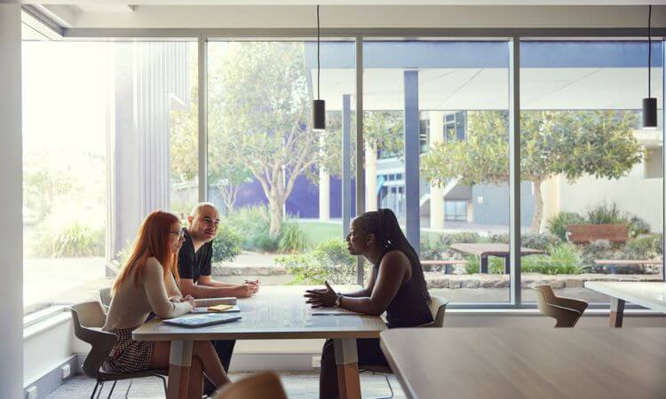 Three people sit at a table in a modern office with large windows, having a discussion. Natural light fills the room, and trees are visible outside.
