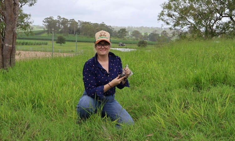 Person kneeling in grassy field, wearing jeans, a patterned shirt, and a cap, holding a small bird in their hands. Trees and farmland visible in the background.