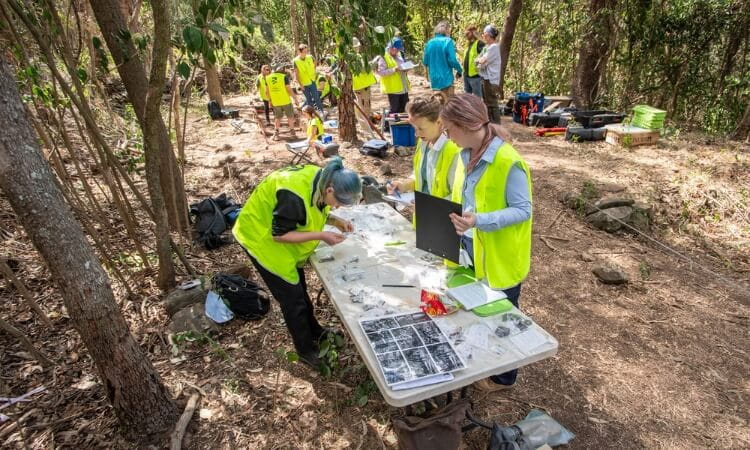 A group of people in yellow safety vests work at tables with equipment and paperwork in a wooded outdoor area.