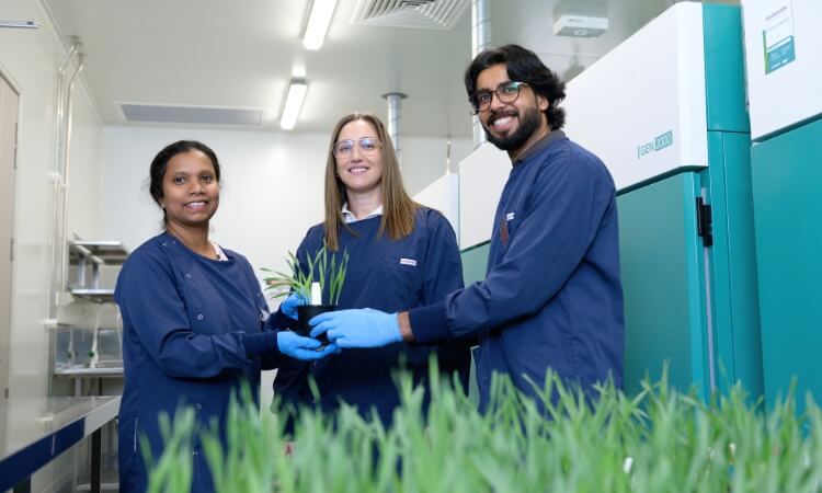 Three scientists wearing blue lab coats and gloves hold a potted plant together in a laboratory with scientific equipment and more plants in the foreground.
