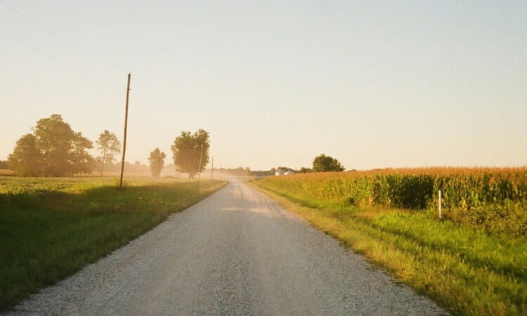 A gravel road stretches through flat farmland with fields and trees on both sides under a clear sky.