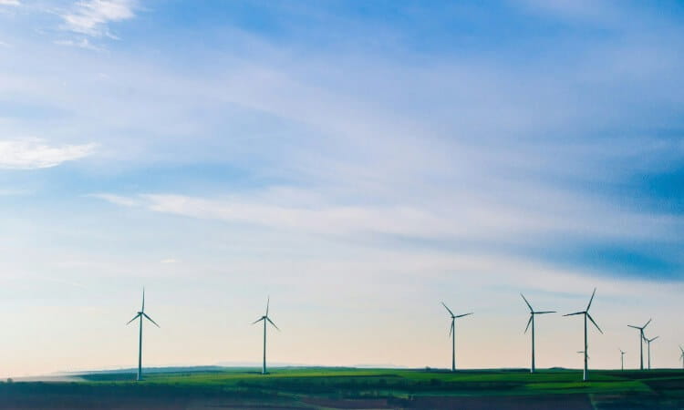Wind turbines are spread across a green field under a blue sky with light clouds.