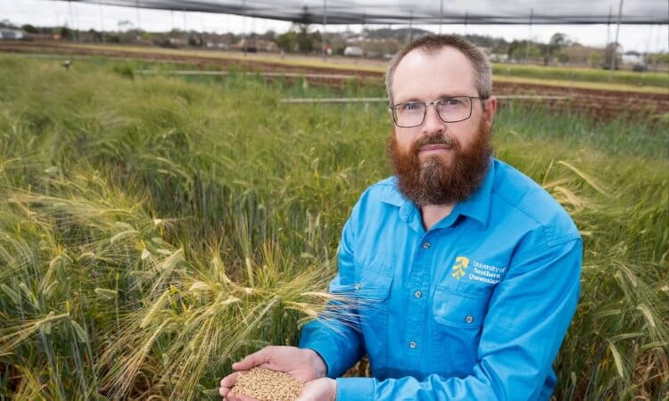 A bearded man in a blue University of Southern Queensland shirt holds a handful of grain in a field.