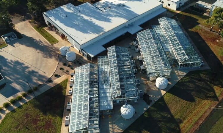 Aerial view of a long, white industrial building connected to a complex of multiple glass greenhouses.