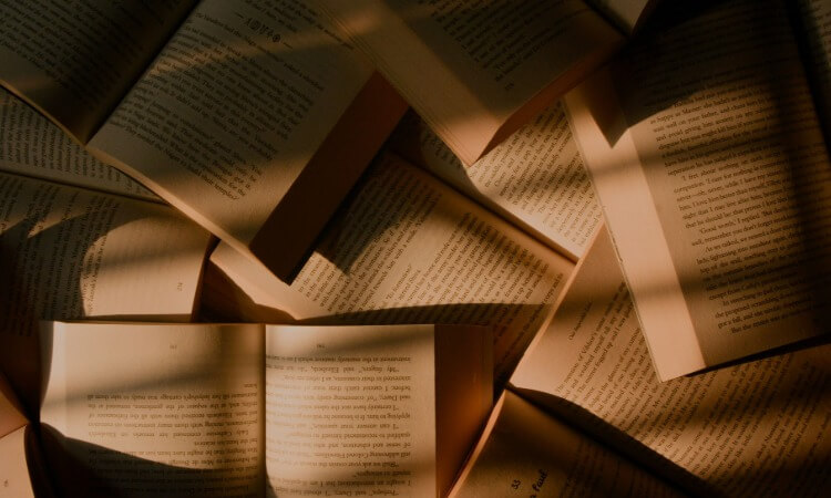 Multiple open books stacked together, illuminated by sunlight.