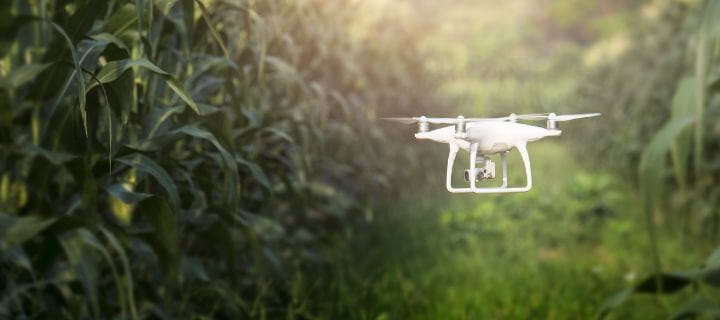 A white quadcopter drone flying over green vegetation in bright sunlight.