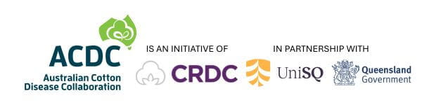 Logos for ACDC, CRDC, UniSQ, and Queensland Government, indicating a partnership for the Australian Cotton Disease Collaboration initiative.