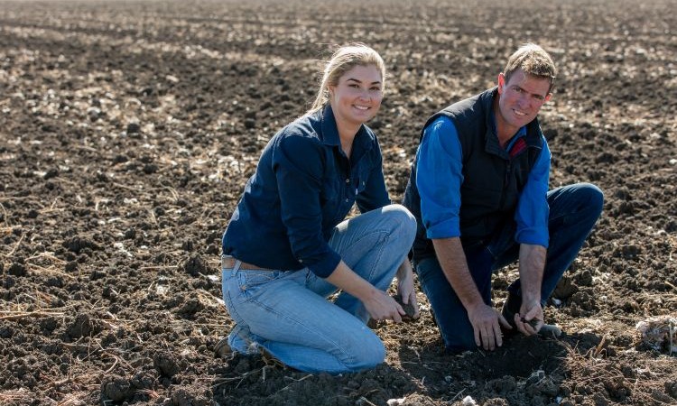 A pathway runs through a cotton field with the text “Australian Cotton Disease Collaboration” and logos for CRDC, University of Southern Queensland, and Queensland Government.